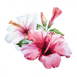 Watercolor Hibiscus Flower premium clipart - ClipartLogo.com