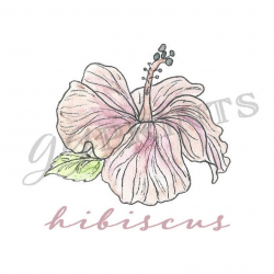 Watercolor Flower Hibiscus Clipart