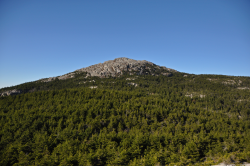 Mount Monadnock - Wikipedia