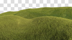 Grassy Hill, green grass field transparent background PNG ...