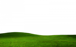 GRASS PNG FILE -TRANSPARENT by TheArtist100 on DeviantArt ...