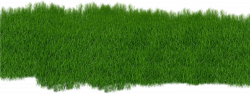 Free Ground Cover Png, Download Free Clip Art, Free Clip Art ...