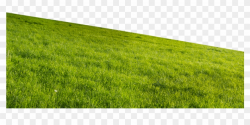 Grass Hill Png, Transparent Png - 837x402(#192753) - PngFind