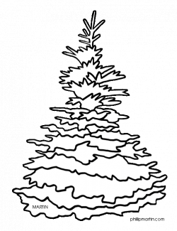 Blue spruce clipart - Clipground