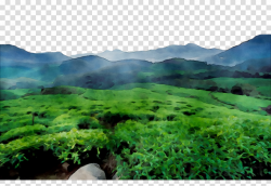 Green Grass Background clipart - Nature, Green, Mountain ...