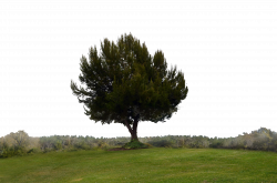 Hill Background PNG Transparent Hill Background.PNG Images. | PlusPNG