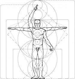 free vector Vitruvian Man clip art | L'Homme de vitruve-The ...