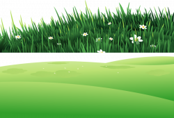 Clip art - Grass on the hill 800*545 transprent Png Free Download ...