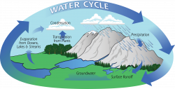 Water Cycle: cycle, earth, en, water | Glogster EDU - Interactive ...