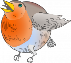 Animal Bird Robin Cartoon transparent image | Animal | Pinterest ...