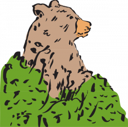 Bear In A Bush | Animal | Pinterest
