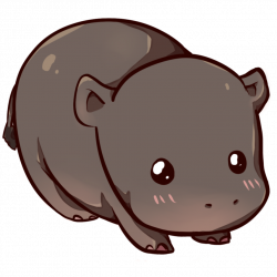 Kawaii hippopotamus by Dessineka | Fauna Arts | Pinterest | Hippopotamus