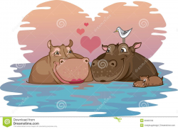 for the love of hippos | Two Hippos In Love Stock ...