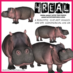 Hippo Clipart - Realistic Animal Clipart for Teachers