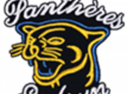 Shop and earn cash back - Embrun Panthers Atom B | Canadian Hockey Moms