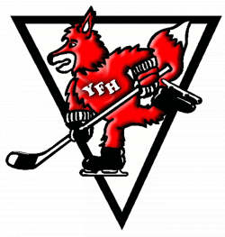 Young Foxes Hockey- Tip Of The Month