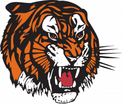 Medicine Hat Tigers - Google Search | HOCKEY LOGOS, TROPHIES ...