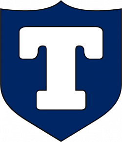 Toronto Arenas Logo // 1917 - 1919 | old hockey gems | Pinterest ...
