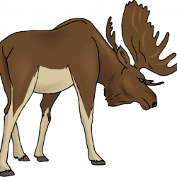 Free Clip Art Moose - Real Clipart And Vector Graphics •