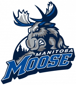 Manitoba Moose Logo transparent PNG - StickPNG