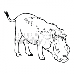 black and white wild boar hog clipart. Royalty-free clipart # 129201