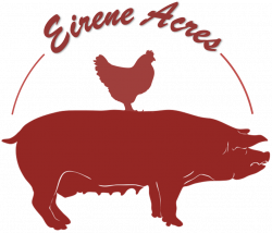 Hereford Hogs — Eirene Acres Farm