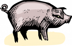 Pig in Farm Pigsty Pigpen - Vector Image