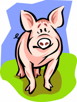 Farm Livestock Swine Pig - Vector Image