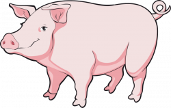 28+ Collection of Realistic Pig Head Clipart | High quality, free ...