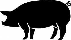 Wild boar Silhouette Boar hunting Clip art - pig 982*562 transprent ...