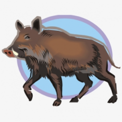 Hog Clipart Male Pig - Wild Boar Clip Art, Cliparts ...