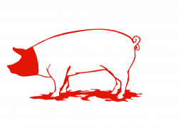 Pork