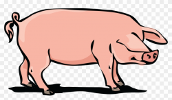 Free Clipart Of A Hog - Free Clipart Pig, HD Png Download ...