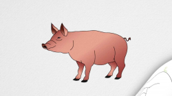 Free Drawn Pig real, Download Free Clip Art on Owips.com