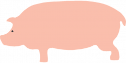 Pig Graphics#5306654 - Shop of Clipart Library
