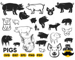 PIG SVG, pig head svg, cute pig, farm animal svg, pig ...