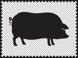 Hog Silhouette SVG Clipart Iron on Transfer Pig SVG Cricut Pig Clipart  Vinyl Cutting Pig Decor Laser Engraving file