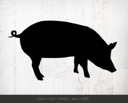 Pig SVG | Farm Svg | Kitchen Svg | Hog Clipart | Rooster SVG Files Pig  Silhouette Shape Cut File Png Dxf Jpg Eps Instant Download for Cricut