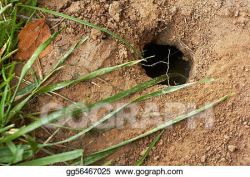 Clipart - Mole hole in brown dirt, closeup. shallow dof ...