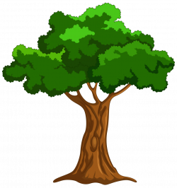 Cartoon Picture Of A Tree #8026