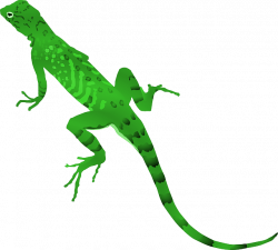 Lizard Smasher – Android Apps on Google Play