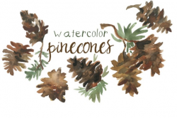 Watercolor Pinecone Clip Art for Scrapbooking Holiday Season Pine Cone  Instant Download Fall Clipart Autumn Illustration Autumn Clipart