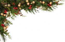 stock-photo-christmas-seasonal-border-of-holly-ivy-mistletoe-cedar ...