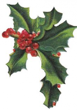 Free Christmas Clipart: Vintage Holly