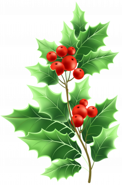 Image file formats Lossless compression - Christmas Mistletoe ...
