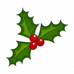 Holly Leaves Clipart | Free download best Holly Leaves ...
