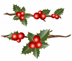 Holly Branches PNG Clipart Image | Gallery Yopriceville - High ...