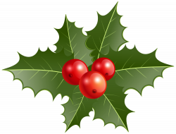 Christmas Holly PNG Clip Art | Gallery Yopriceville - High-Quality ...