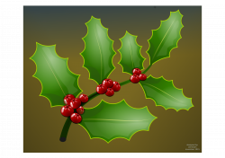 Clipart - Holly branch