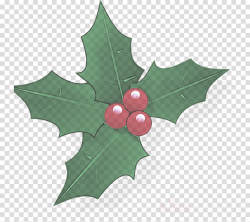 Holly clipart - Holly, Leaf, American Holly, transparent ...